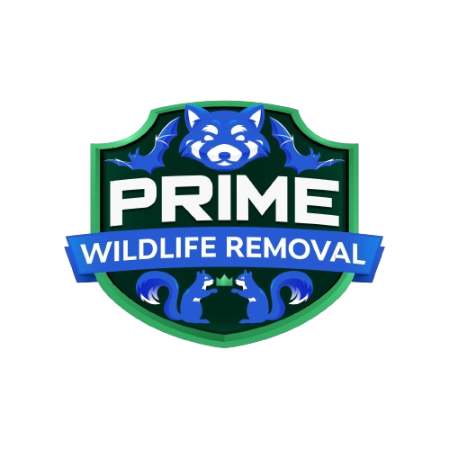 Wildlife Removal Princeton